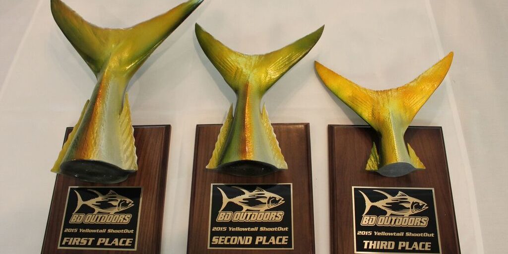 Yellowtail Shootout yellowtail shootout